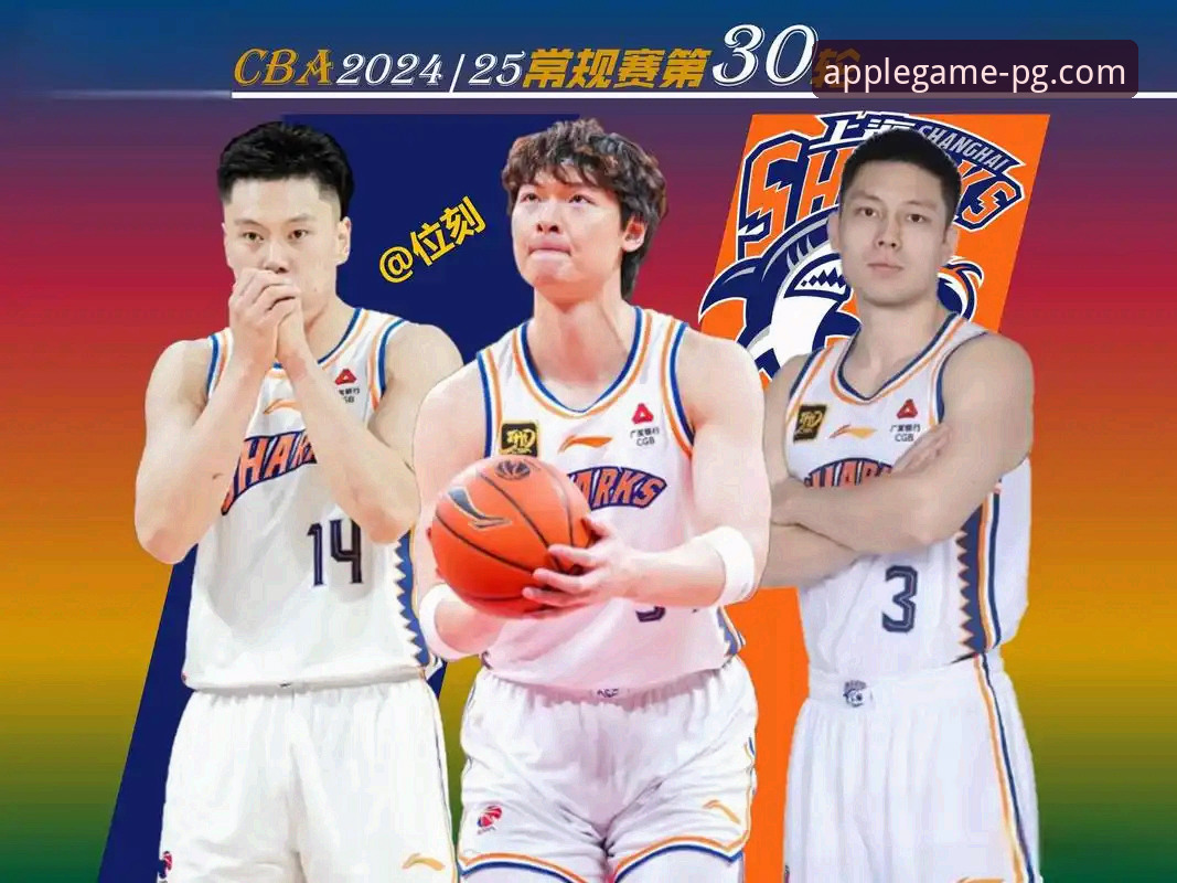 在PG问鼎苹果平台深度解析CBA赛事：上海队豪取12连胜战术复盘教程